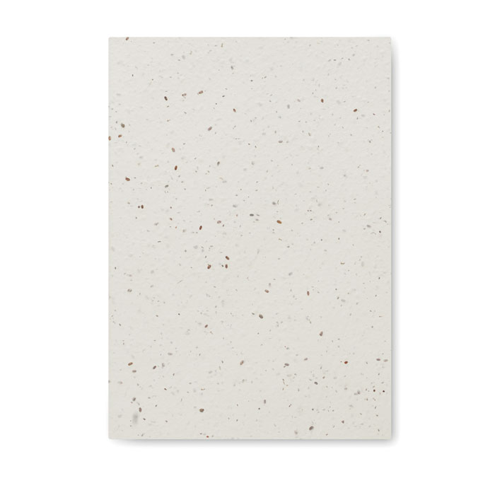 SEED BOOK - obrazek 3