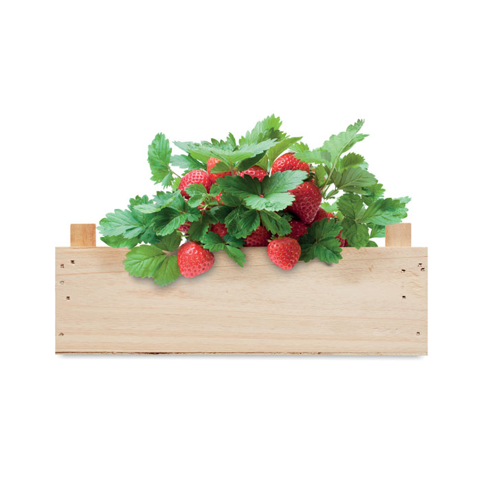 STRAWBERRY - obrazek 4